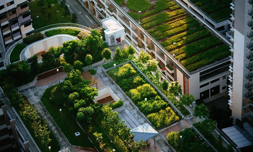 villa-design-in-mazandaran