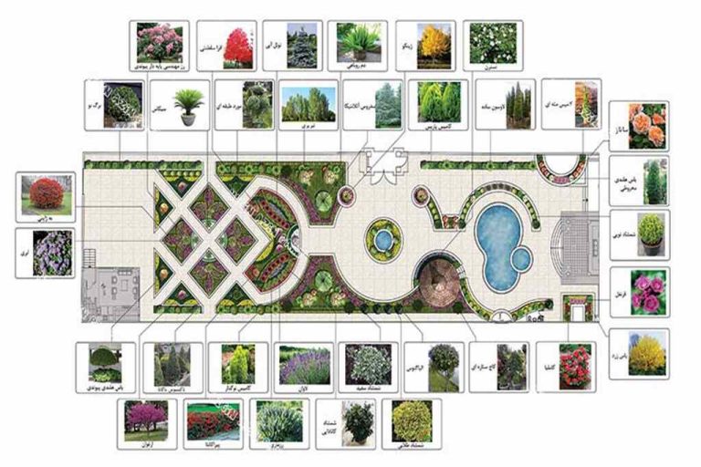 villa-plan-design